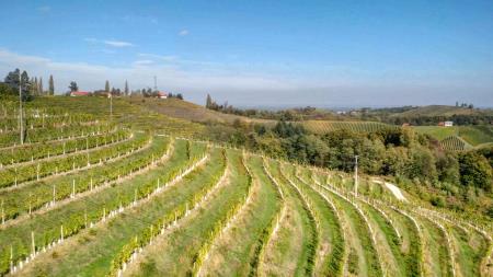 Prleški vinogradi3